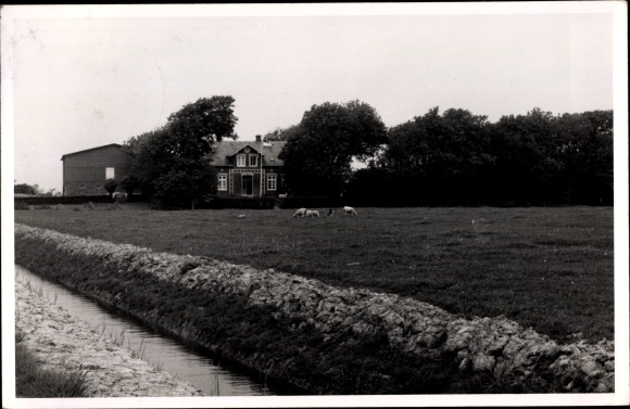 Ak Garding in Noord-Friesland, uitzicht op de stad, woongebouw, koeien in de wei