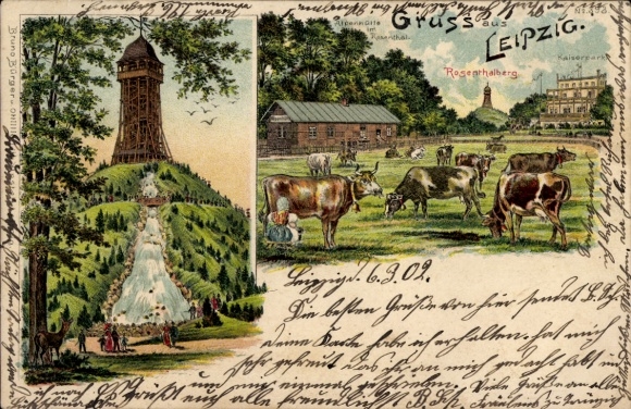 litho Leipzig, Alpenhut in Rosenthal, Scherbelberg, Kaiserpark, koeien, herten, Bruno Bürger 393