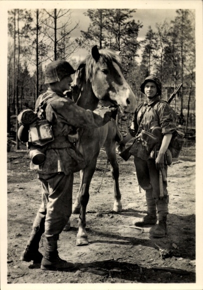 Postcard Waffen-SS, Good Friends, SS Men with Horse