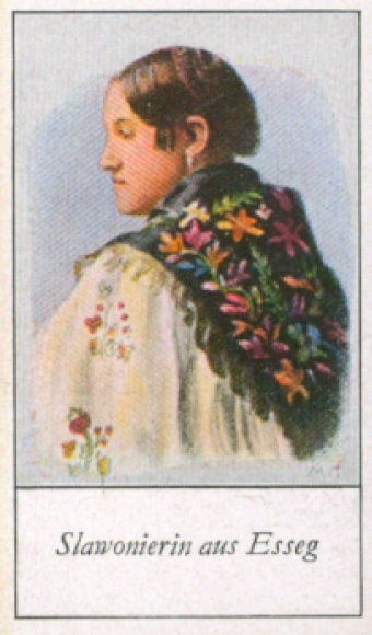 Collection picture The peoples of Europe, a contribution to racial science, 262 Slavonia from Esseg