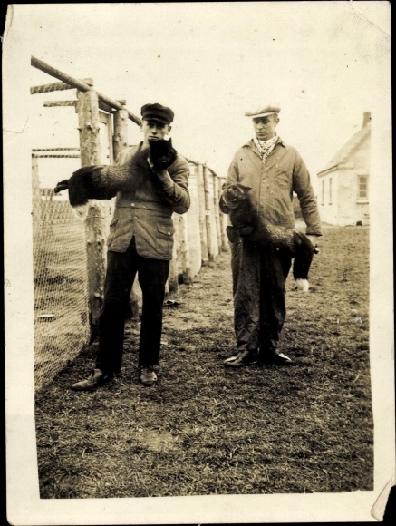 Photo Two men, animals, enclosure, breeding