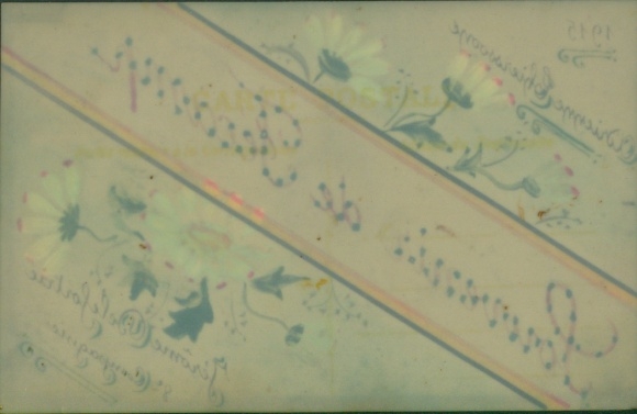 Celluloid Postcard Souvenir, daisies, flowers, kitsch