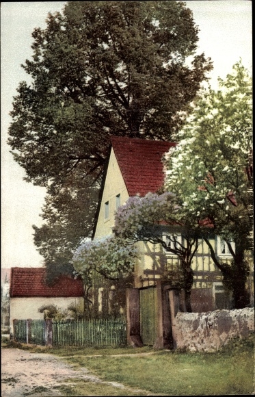 PC Dresden Northeast Rochwitz, Nenke &amp; Ostermaier No. 1276, spring blossom, photochromia, lilac