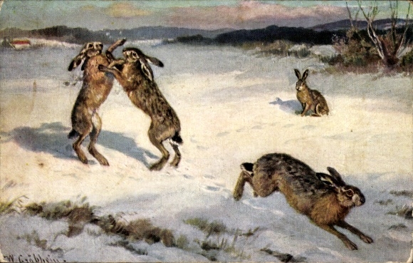 Artist Postcard Hares in the Snow