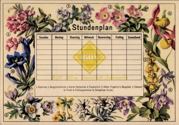 Timetable BIOX-Ultra oxygen dental care, picture service collection pictures around 1950