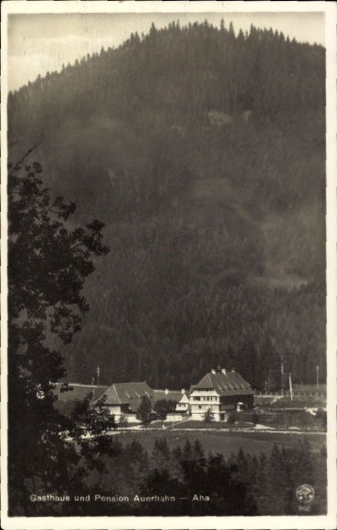 Ak Oppenau im Schwarzwald, Gasthaus und Pension Auerhahn,  Berglandschaft