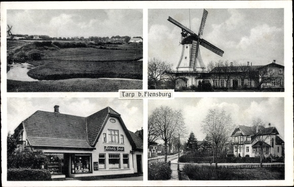Ak Tarp in Sleeswijk-Holstein, windmolen, winkel Heinrich Griefe