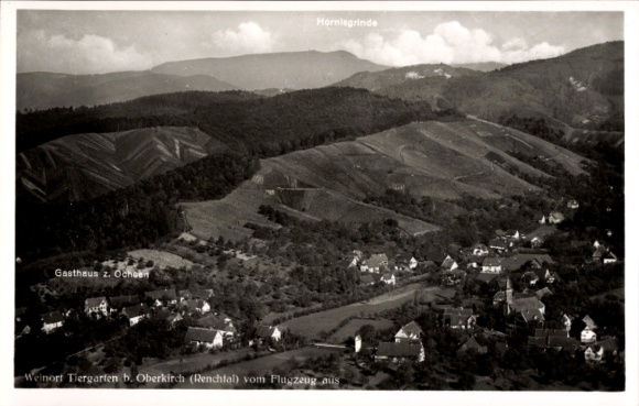 Ak Tiergarten Oberkirch in Baden Württemberg, Luftaufnahme, Weinort Tiergarten, Gasthaus z. Ochse