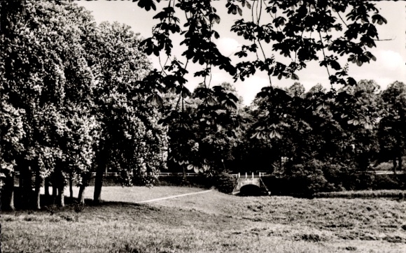Ak Ahrensburg in Holstein, Schöne Landschaft mit Bäumen, Bauernbrücke, Kastanienallee