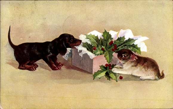 PC Congratulations Christmas, holly branches, cat, dachshund