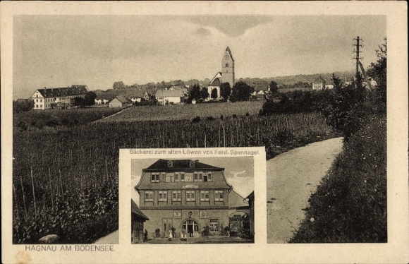 Ak Hagnau am Bodensee, Gesamtansicht, Bäckerei zum alten Löwen