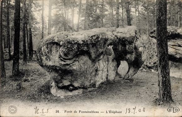 CPA Fontainebleau Seine et Marne, Éléphant