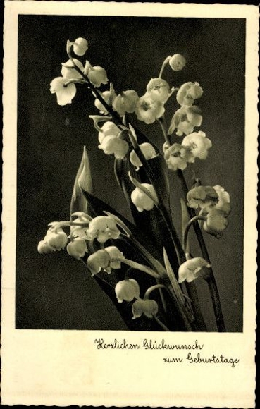 10 old AK flower pictures, flower photos, different views