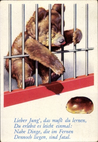 Collector's picture funny pictures No. 105, Teddy wants a cookie