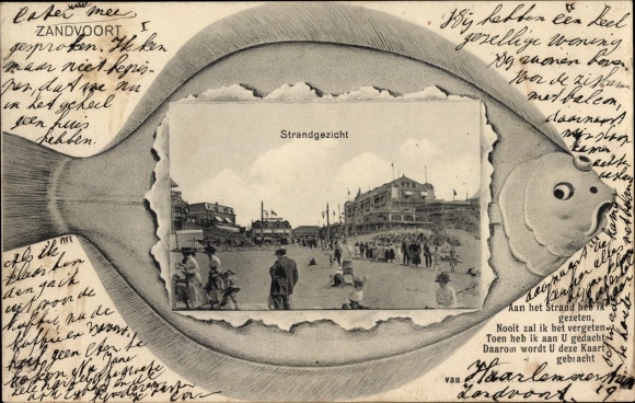 Passepartout PC Zandvoort North Holland Netherlands, Strandpartie, Flounder