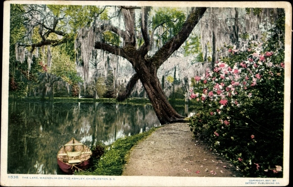 Briefkaart Charleston Zuid-Carolina Verenigde Staten, Magnolia op Ashley, Lake