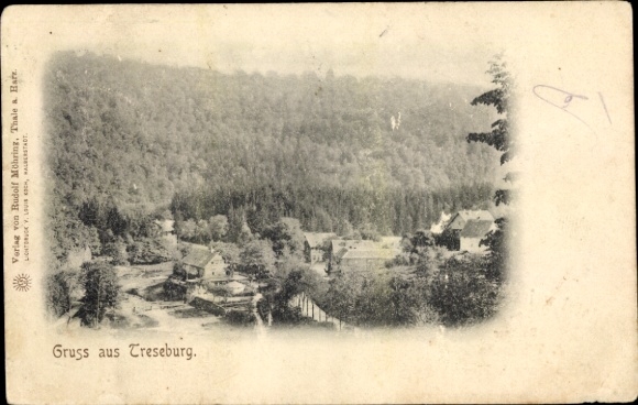 Ak Treseburg Thale im Harz, Landschaftsaufnahme, Teil der Stadt, Wald im Hintergrund,  