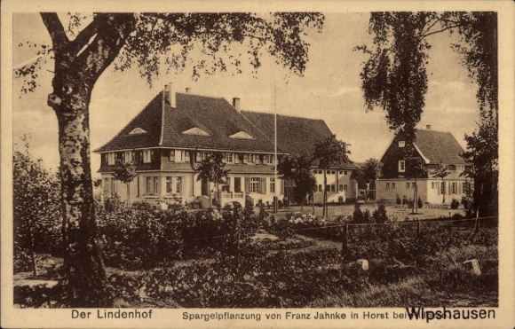 Postcard Horst in Lower Saxony, Lindenhof asparagus plantation