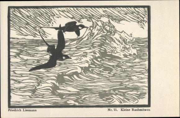 Artist PC Lissmann, Friedrich, Small Skuas