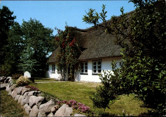 Picture of fog on the island of Amrum, North Frisia, thatched house, flowers, green areas, view of...