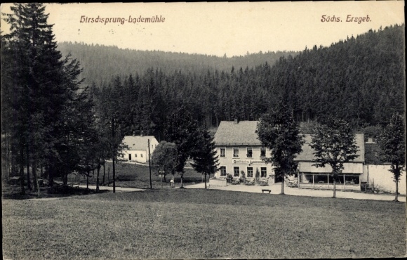 Postcard Hirschsprung Altenberg, view of the inn Zur Lademühle, valley view with forest