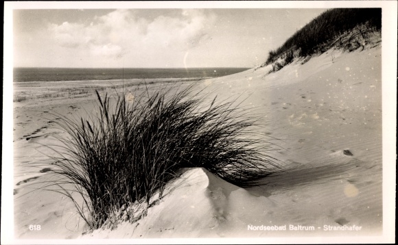Postcard Baltrum, beach grass