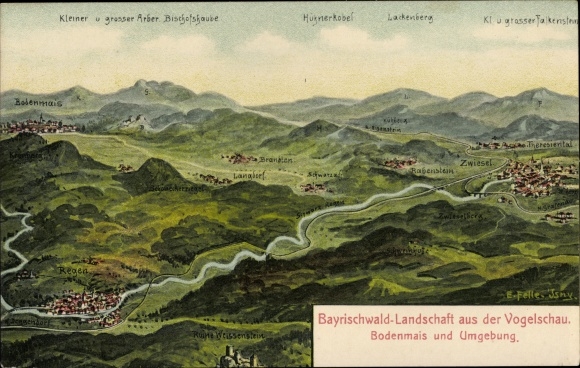 Künstler Ak Felle, Eugen, Bodenmais Bayerischer Wald Niederbayern, Hühnerkobel, Bischofshaube, Regen