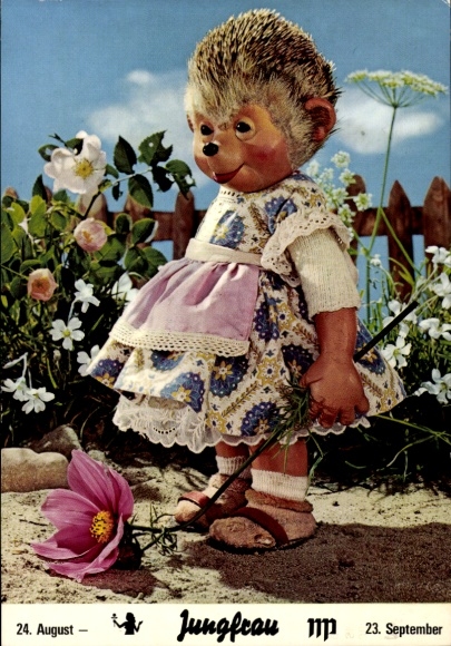 Postcard Mecki the Hedgehog, Zodiac sign Virgo, 23 August to 23 September, Hedgehog girl, flower