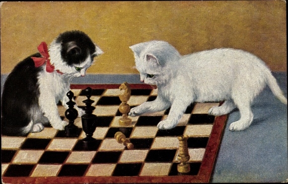 Postcard Two cats are playing chess