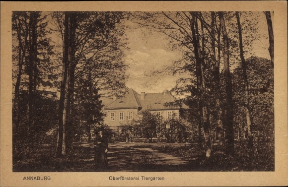 Postcard Annaburg Saxony Anhalt, Oberförsterei Tiergarten