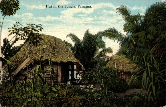 Postcard Panama, Hut in the Jungle, jungle, hut, palm trees