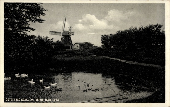 Postcard Ostseebad Graal Müritz, windmill, pond