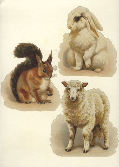 3 wafers rabbit, squirrel, sheep, each approx. 12 x 11 cm