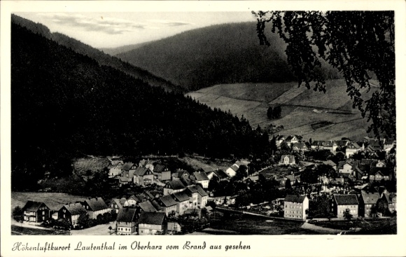 Ak Lautenthal Langelsheim im Oberharz, Schöne Berglandschaft, Bäume, Häuser, ruhige Atmosphäre