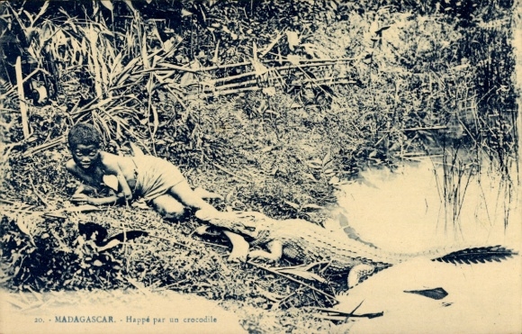 Postcard Madagascar, Happé par un crocodile, Boy is bitten by crocodile