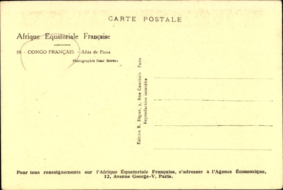 Postcard French Congo, Allee de Ficus