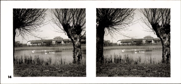 Stereo ruimtelijk beeld foto "De NS modelbedrijven 1937-38" nr. 14, Domein Schweighof bij Bad Rodach