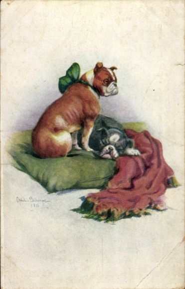 Künstler Ak Hunde, Bulldoggen