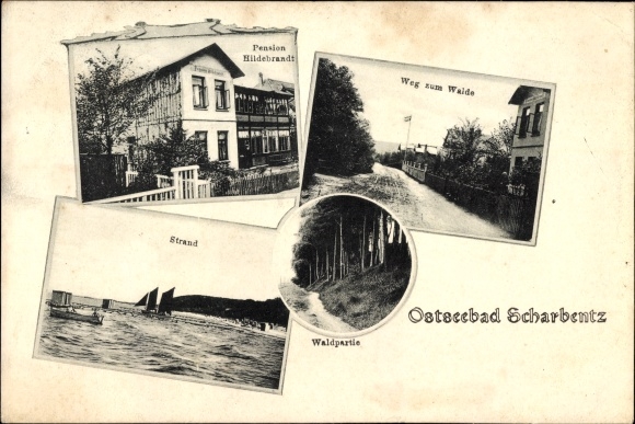 Ak Scharbeutz in Ostholstein, Pension Hildebrandt, Weg zum Walde, Strand, Waldpartie