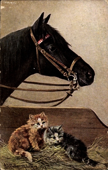 Artist Postcard Müller, August, kittens in the stable, black horse,