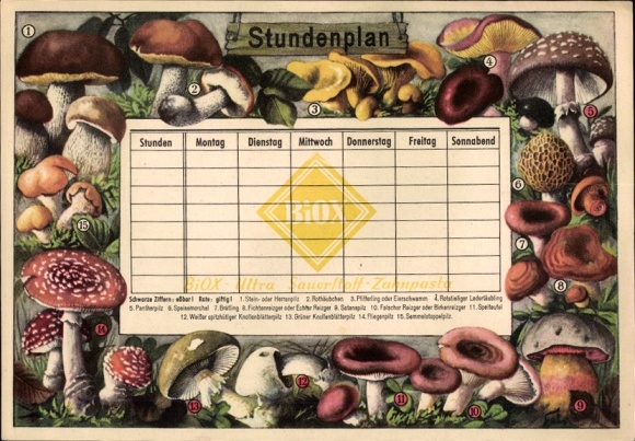Harmonogram BIOX-Ultratlenowa pasta do zębów, grzyby trujące i jadalne około 1960 roku