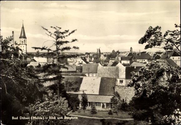 Postcard Bad Düben an der Mulde Saxony, view from the castle tower, city view, church, roof landscape