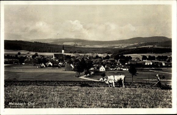 PC Moosbach in der Oberpfalz, total view, plow, farmer