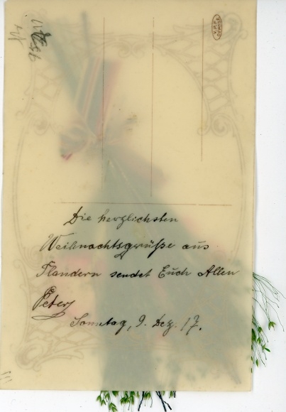 Celluloid Postcard flowers made of fabric, real plants