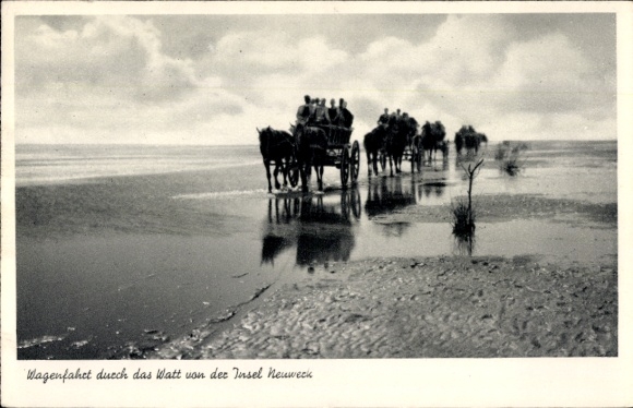 Postcard Island Neuwerk, wagon ride, mudflats