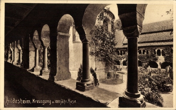 Postcard Hildesheim in Lower Saxony, cloister, 1000-year-old rose, columns, garden