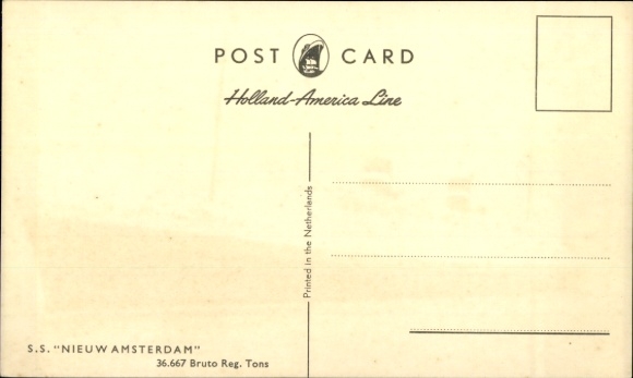 Postcard HAL steamer Nieuw Amsterdam, Holland-America Line