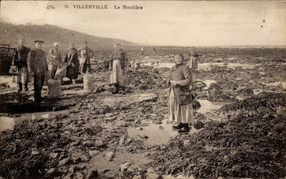 Postcard Villerville Calvados, la Mouliers