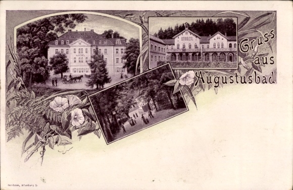 Passepartout Postcard Augustusbad Radeberg, Bath, Parks
