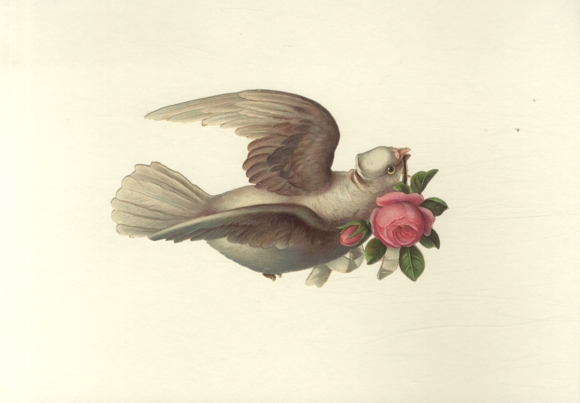 Wafer white dove with rose in its beak, approx. 10 x 17 cm